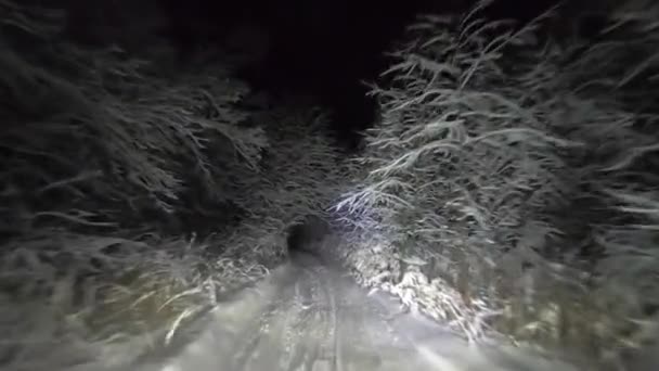 Pov Jazdy Przez Noc Śnieżny Las Zimie Tunel Drzew Śniegu — Wideo stockowe