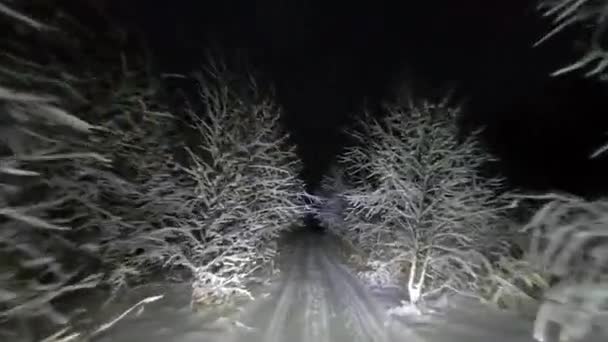 Pov Jazdy Przez Noc Śnieżny Las Zimie Tunel Drzew Śniegu — Wideo stockowe