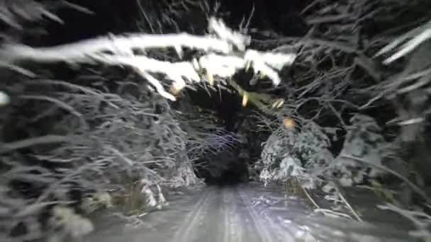 Pov Projíždí Zimě Zasněženým Lesem Krásná Krajina Zimního Lesa Noci — Stock video