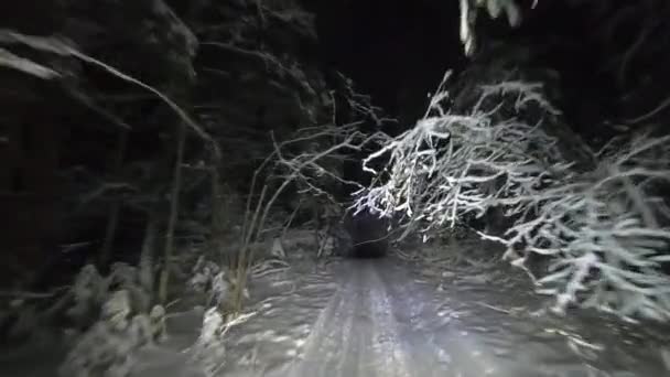 Pov Dirigindo Através Floresta Nevada Noite Inverno Bela Paisagem Floresta — Vídeo de Stock