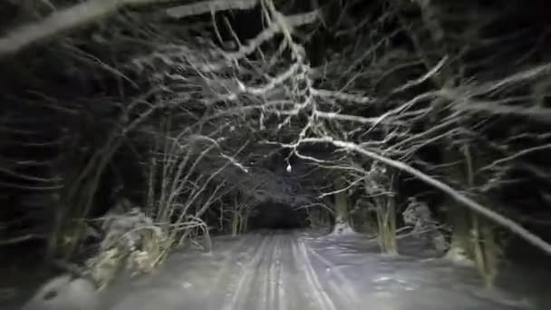 Pov Jazdy Przez Noc Śnieżny Las Zimie Tunel Drzew Śniegu — Wideo stockowe