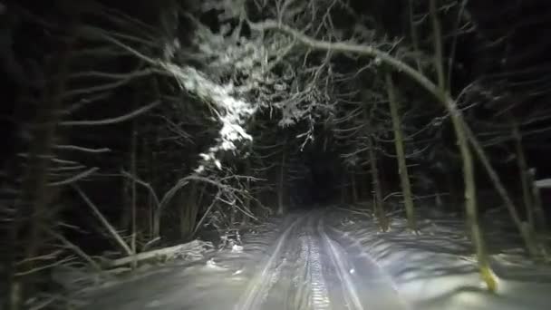 Pov Dirigindo Através Floresta Nevada Noite Inverno Bela Paisagem Floresta — Vídeo de Stock