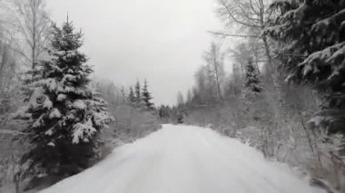 Kış ormanı boyunca off-road arabasıyla gezintiye çıktık. Kışın karlı ormanın güzel manzarası. Kışın arabayla seyahat et.