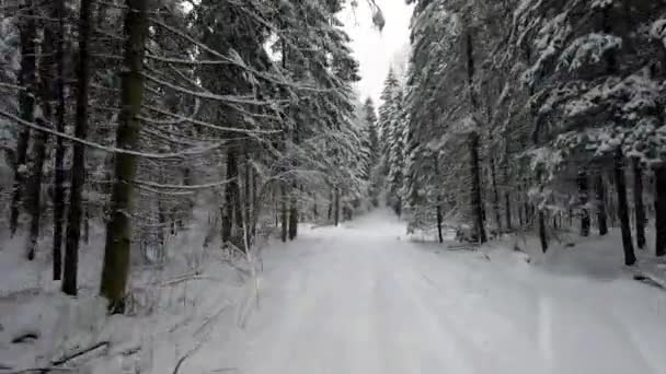 Podróż Pov Road Samochodem Przez Zimowy Las Piękny Krajobraz Zaśnieżonego — Wideo stockowe