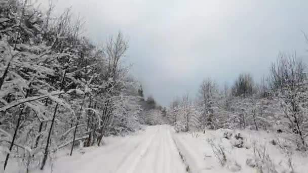 Pov Viaje Coche Todoterreno Través Del Bosque Invierno Una Mirada — Vídeo de stock