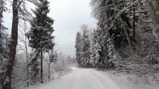 Pov Viagem Carro Road Através Floresta Inverno Olhar Para Trás — Vídeo de Stock