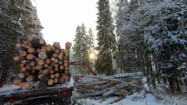 Kış günü karla kaplı bir ormanda taşımacılık için bir arabaya kütük yüklemek. Ahşap hasat ve ahşap işçiliği.