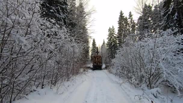 Rönköket Rakodni Egy Autóra Hogy Télen Elszállítsák Egy Hófödte Erdőben — Stock videók
