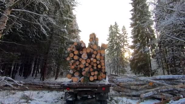 Rönköket Rakodni Egy Autóra Hogy Télen Elszállítsák Egy Hófödte Erdőben — Stock videók