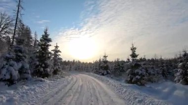 Soğuk bir günde, güzel, karlı bir ormanda araba yolculuğu. Mavi gökyüzüne karşı karda güzel bir doğa.