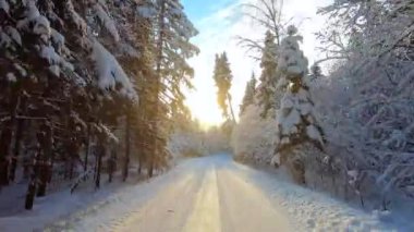 Soğuk bir günde, güzel, karlı bir ormanda araba yolculuğu. Mavi gökyüzüne karşı karda güzel bir doğa.