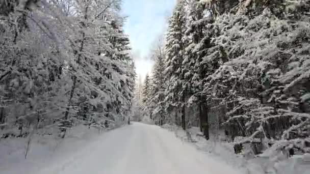 Eine Autofahrt Durch Einen Wunderschönen Verschneiten Wald Winter Einem Frostigen — Stockvideo