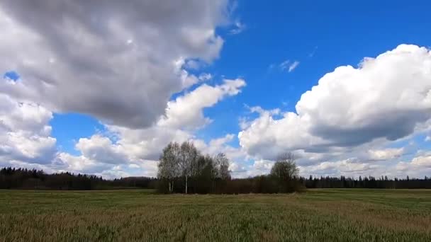 Zaman Çizelgesi Mavi Gökyüzünde Güzel Beyaz Bulutları Renkli Yeşil Bir — Stok video