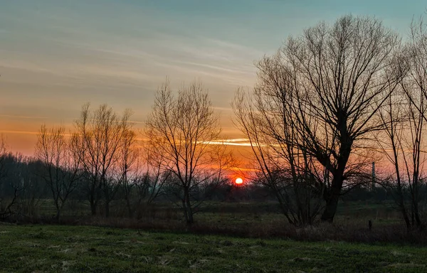 Early spring landscape at sunset. trees in spring on a background of evening burning sky. Enchanting sunset on a background of spring nature. Sunset in a typical European landscape in early spring.