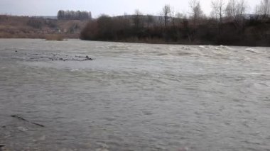 Karpatlar 'ın sıcak nehrinde sel. Ukrayna Karpatları 'ndaki Stryi Nehri' ni sel basmış. Su basmış bir dağ nehri ve hızlı bir akıntı..