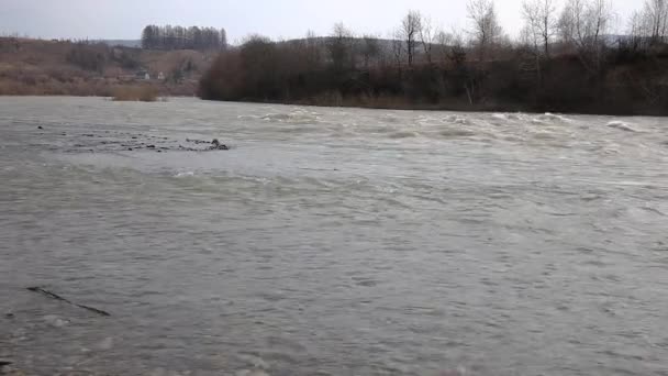 Потоп Горячей Реке Карпат Наводнение Горной Реке Стрый Украинских Карпатах — стоковое видео