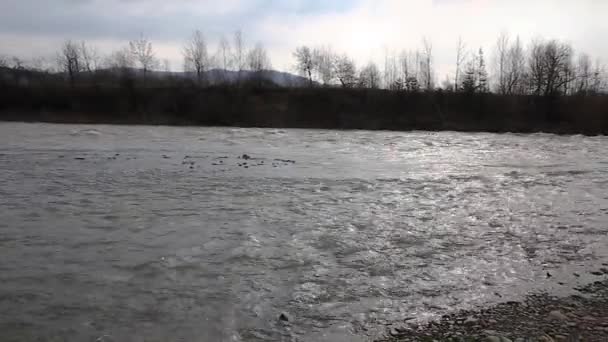Powódź Gorącej Rzece Karpat Powódź Górskiej Rzece Stryj Karpatach Ukraińskich — Wideo stockowe