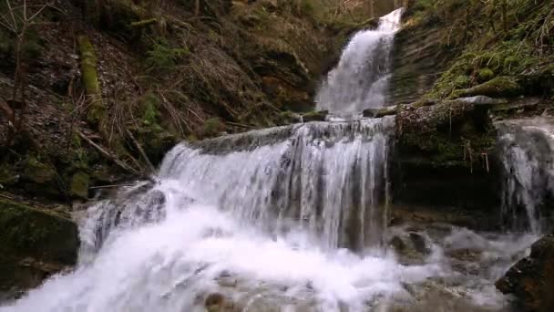 Wonderful Waterfall Mountain River Carpathians Waterfall National Park Skole Beskydy — Stock Video