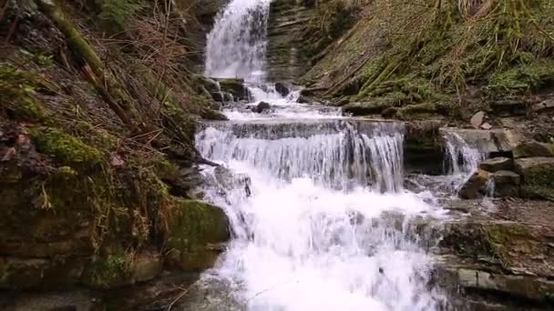 喀尔巴阡山脉河流上美丽的瀑布 Waterfall National Park Skole Beskydy Ukraine 喀尔巴阡河 水流急 水晶晶 — 图库视频影像