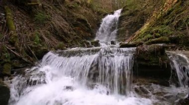 Karpatlar nehri üzerinde harika bir şelale. Şelale, Skole Beskydy Ulusal Parkı, Ukrayna. Karpatya nehri, hızlı akım, kristal su. Karpat dağında muhteşem bir şelale