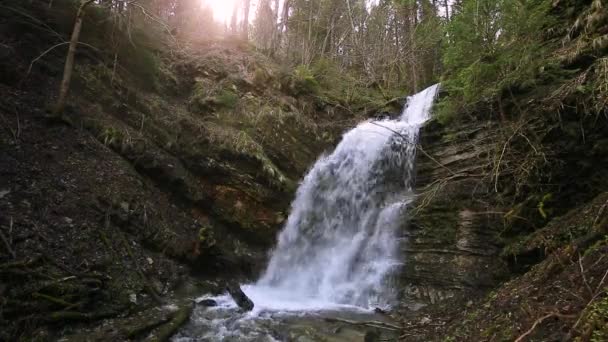 喀尔巴阡山脉河流上美丽的瀑布 Waterfall National Park Skole Beskydy Ukraine 喀尔巴阡河 水流急 水晶晶 — 图库视频影像