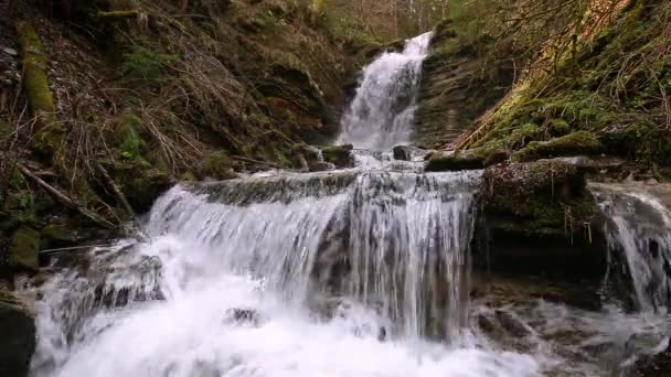 喀尔巴阡山脉河流上美丽的瀑布 Waterfall National Park Skole Beskydy Ukraine 喀尔巴阡河 水流急 水晶晶 — 图库视频影像