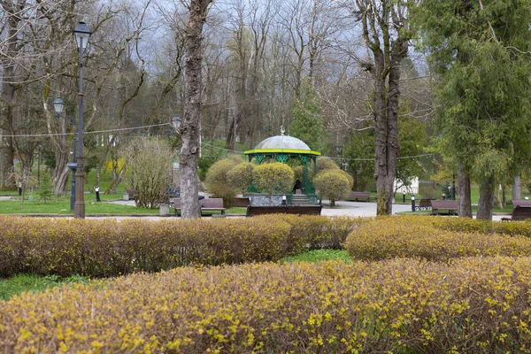 2021年4月20日Truskavetsは ウクライナの植物学的リゾートです トラスカヴェッツのリゾートパークでの音楽パビリオン バルネロジーリゾート ウクライナのリヴィウ州トラスカヴェツ市 — ストック写真