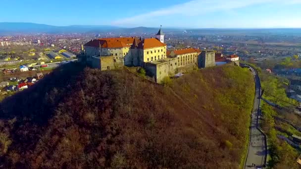 Luftaufnahme Der Burg Palanok Mukatschewo Ukraine Die Burg Palanok Oder — Stockvideo