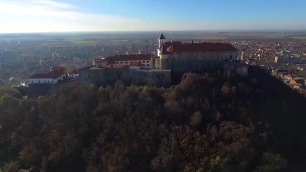 Luftaufnahme Der Burg Palanok Mukatschewo Ukraine Die Burg Palanok Oder — Stockvideo