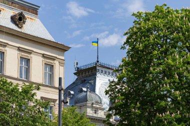 LVIV, UKRAINE - 26 Mayıs 2021. Svobody Bulvarı, şehrin merkezinin eşsiz mimarisi..