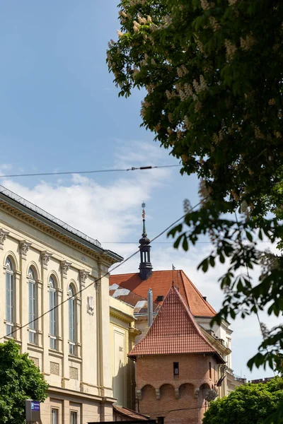 Lviv Ucrânia Maio 2021 Avenida Svobody Arquitetura Única Parte Central — Fotografia de Stock