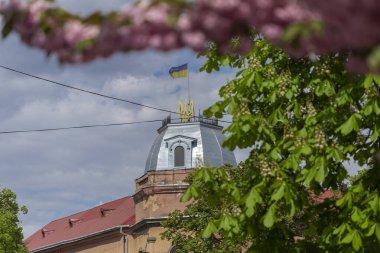25 Mayıs 2021 Berehove şehri, Transcarpathia, Ukrayna. Ukrayna bayrağı ve arması Ukrayna 'nın Beregovo kentindeki Tomasz Ese Caddesi' ndeki bir evde..