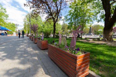 25 Mayıs 2021 Berehove şehri, Transcarpathia, Ukrayna. Beregovo ve binanın merkez caddesi adını Ferenc Rakoczy Transcarpathian Macar Enstitüsü 'nden almıştır. Beregovo, Ukrayna.