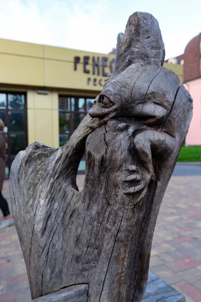 April 2021 Sukhovolya Street Truskavets Ukraina Unika Träsnidade Skulpturer Gatorna — Stockfoto