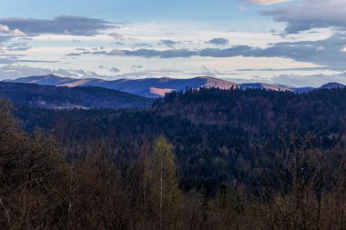 Ufukta güzel bir akşam gökyüzü olan ön planda, büyük bir sarı öküz dudağı çiçeğiyle (Primula elatior) Karpatların bahar manzarası. Karpatların ilkbahar manzarası.