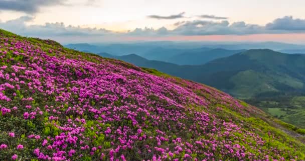 Időpontok Kárpátok Egyedülálló Tájképe Marmaros Massif Mount Pip Ivan Marmarosky — Stock videók