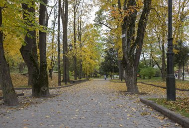 Sonbaharda yaprak düşerken şehir parkı. Şehirde düşen yaprakları temizleme sorunu. Parkta harika bir sonbahar, sarı ve mor ağaçlarla. Sonbahar parkında bank, yerde yapraklar..