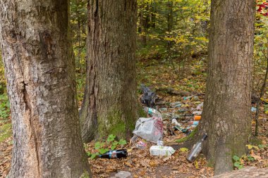 Turistlerin ya da tatilcilerin sonbahar ormanlarındaki ağaçların arasına attığı çöpler. Ev atıklarıyla dolu orman ve doğa sorunları. Çevresel farkındalık ve sorumluluk kavramı.