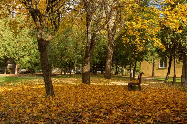 Miejski Park Jesienią Momencie Opadu Liścia Problem Czyszczenia Opadłych Liści — Zdjęcie stockowe