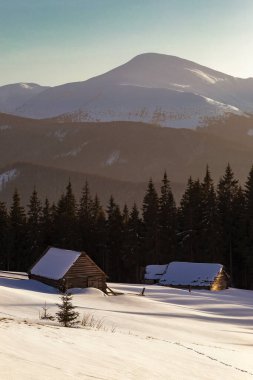 Kış Karpat Dağları. Noel ve turizm konsepti. Çobanların çayırdaki kulübeleri yüksek karlı dağların arka planında yoğun bir kar tabakasıyla kaplıdır. Kış dağları.