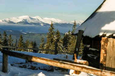 Kış Karpat Dağları. Noel ve turizm konsepti. Çobanların çayırdaki kulübeleri yüksek karlı dağların arka planında yoğun bir kar tabakasıyla kaplıdır. Kış dağları.