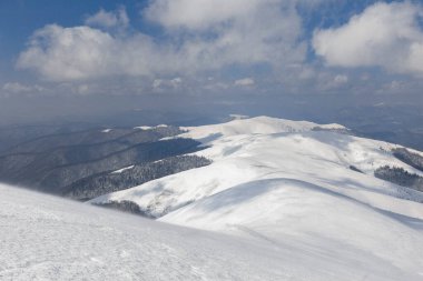 Kış Karpat Dağları. Borzhava dağ sırası. Kış dağlarının manzaraları. Kar, kış dağlarının arka planında rüzgarla savrulur..