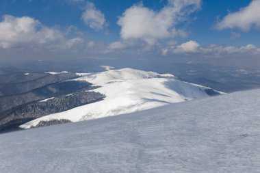 Kış Karpat Dağları. Borzhava dağ sırası. Kış dağlarının manzaraları. Kar, kış dağlarının arka planında rüzgarla savrulur..