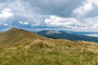 Verkhovyna Watershed Range, Pikui Dağı. Pikuy Dağı 'nda çimenli yamaçları ve kayaları olan Karpat dağları. Yazın güzel dağ manzarası