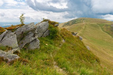 Verkhovyna Watershed Range, Pikui Dağı. Pikuy Dağı 'nda çimenli yamaçları ve kayaları olan Karpat dağları. Yazın güzel dağ manzarası