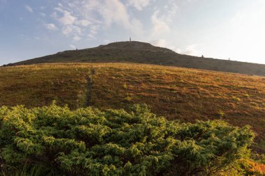Verkhovyna Watershed Range, Pikui Dağı. Pikuy Dağı 'nda çimenli yamaçları ve kayaları olan Karpat dağları. Yazın güzel dağ manzarası