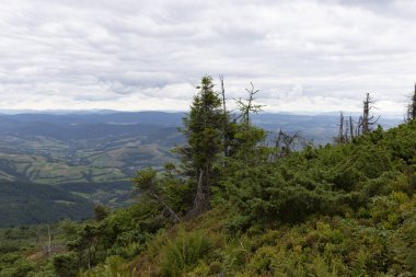 Verkhovyna Watershed Range, Pikui Dağı. Pikuy Dağı 'nda çimenli yamaçları ve kayaları olan Karpat dağları. Yazın güzel dağ manzarası. Dağ yaz manzarası. fotoğraf duvar kağıdı.