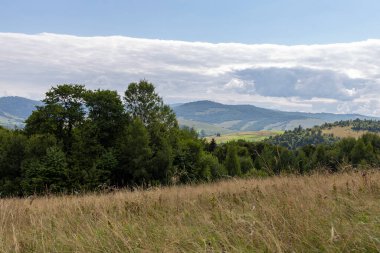 Verkhovyna Watershed Range, Pikui Dağı. Pikuy Dağı 'nda çimenli yamaçları ve kayaları olan Karpat dağları. Yazın güzel dağ manzarası. Dağ yaz manzarası. fotoğraf duvar kağıdı.