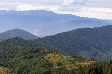 Verkhovyna Watershed Range, Pikui Dağı. Pikuy Dağı 'nda çimenli yamaçları ve kayaları olan Karpat dağları. Yazın güzel dağ manzarası. Dağ yaz manzarası. fotoğraf duvar kağıdı.