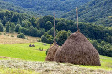 Yazın Ukrayna 'nın Karpat Dağları' ndaki çimenli çayırlarda yeşil ve bulutlu bir gökyüzü. Karpatlar 'da çiftçilik, Karpatlar' da geleneksel çiftçilik..
